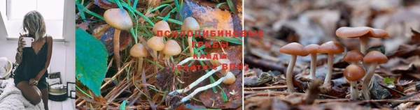 кокаин перу Заволжск