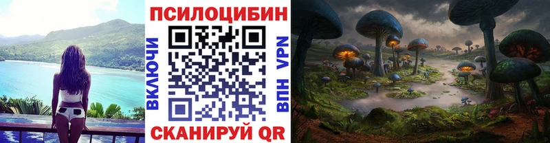 Псилоцибиновые грибы Psilocybe  Зеленодольск 